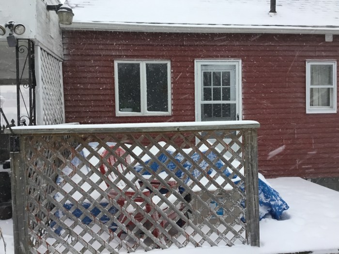 The snow flew and blew on Wednesday.