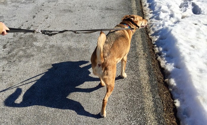 Ellie B in finest form.