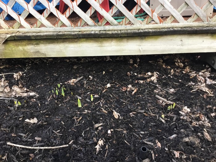 Keep coming, please and thank you.