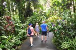 Tropical Botanical Garden