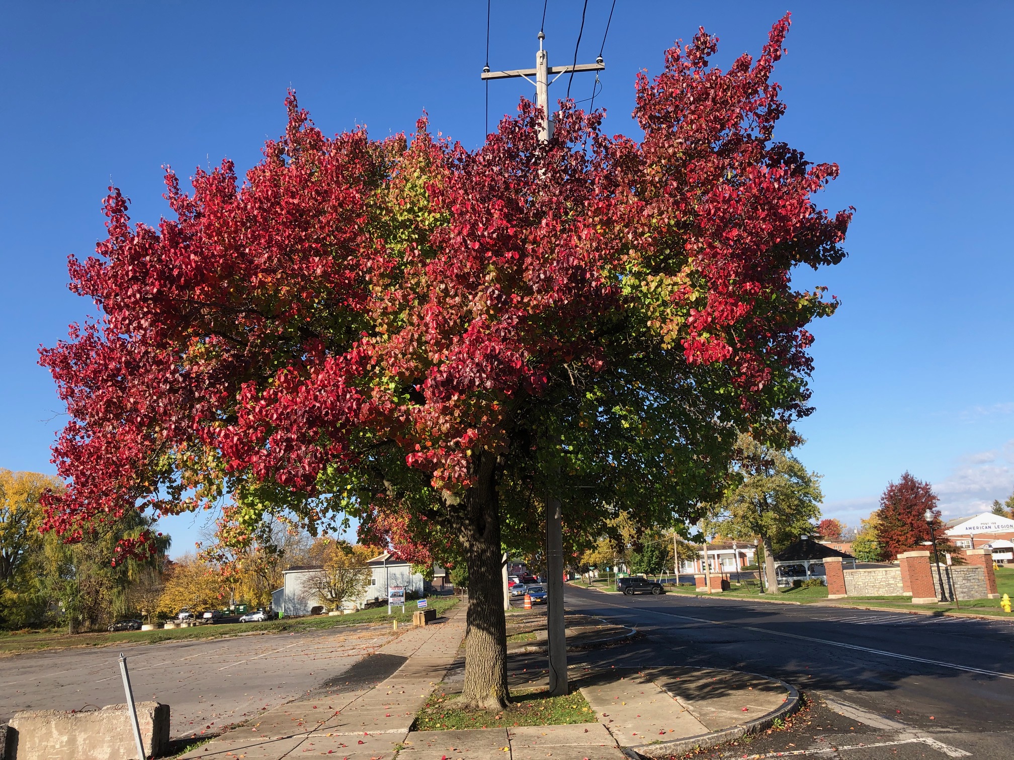 Village of Liverpool