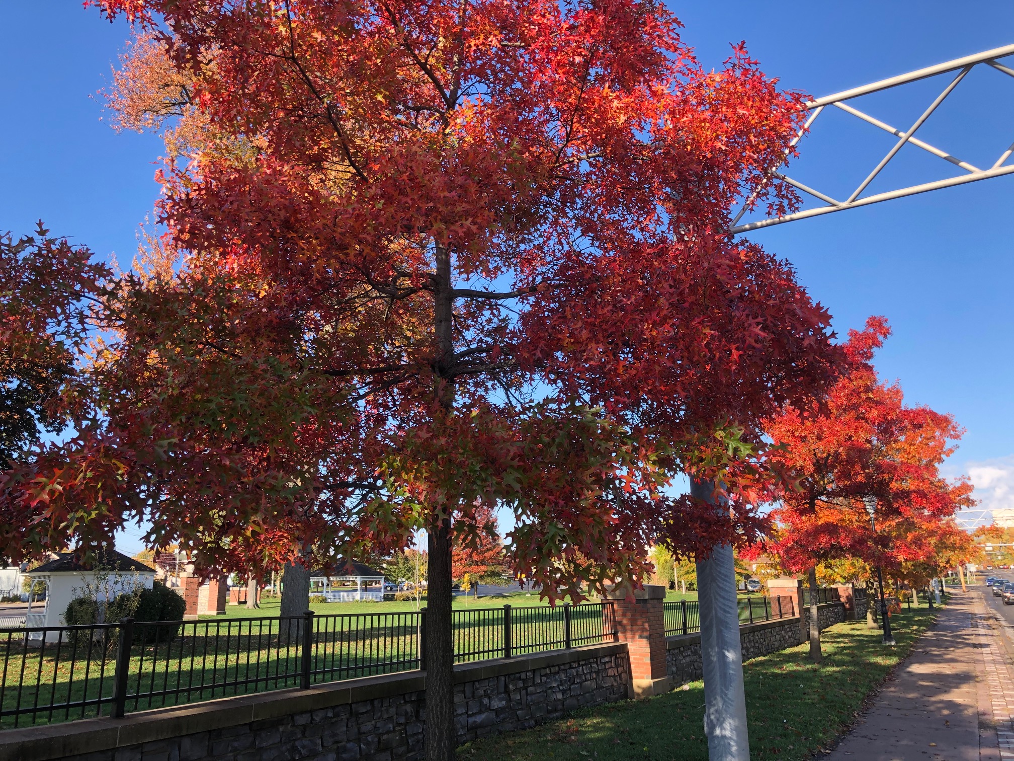 E0DC0438-6947-42F4-9221-D7A6ACBA4B21