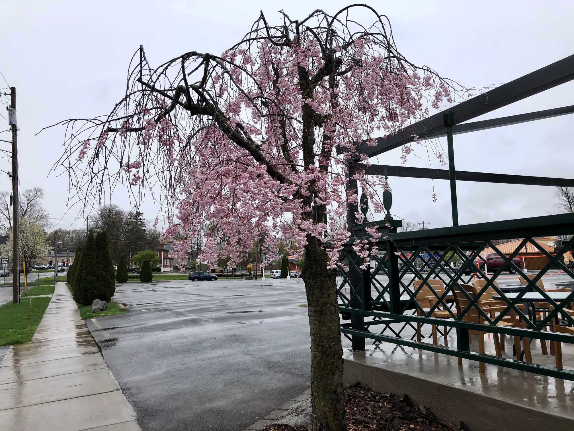 Village of Liverpool