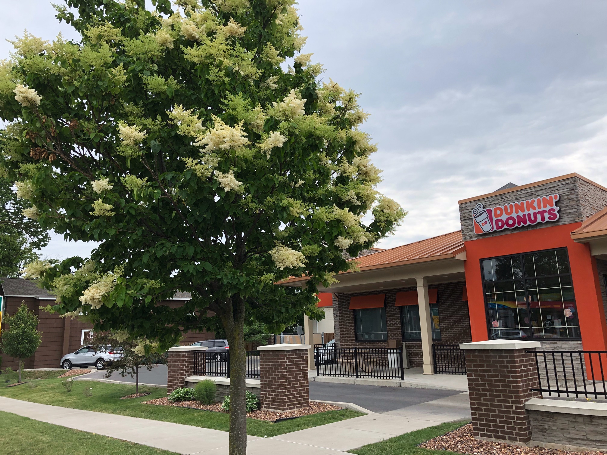 Village of Liverpool